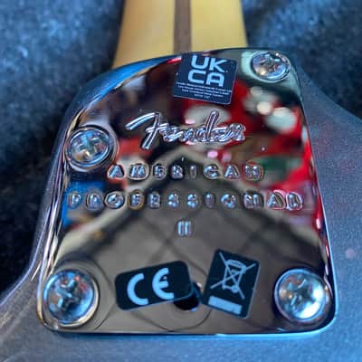 Fender American Professional II Stratocaster Rosewood RW 2021 Mercury US210096666 image 8