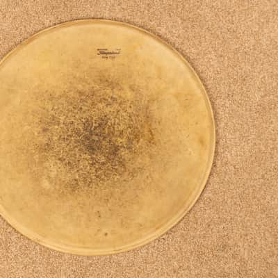 Vintage Slingerland 16" Calfskin Head image 1