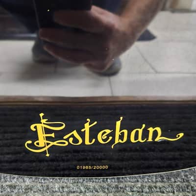 2007 Esteban Spanish Rosas Classical Electronic Acoustic Guitar - Floral image 13