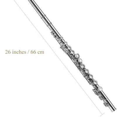 Concert Flute – Student & Intermediate Band Flute with Case, Stand & Accessories image 2