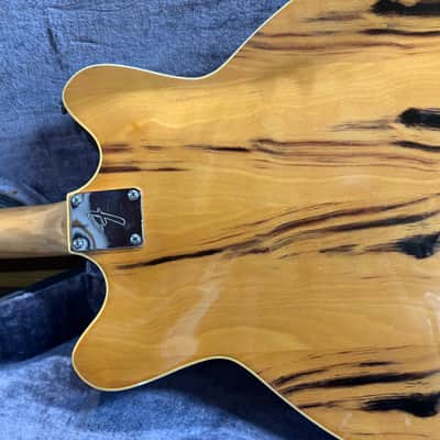 Fender Wildwood Coronado II 1967 - Wildwood image 16