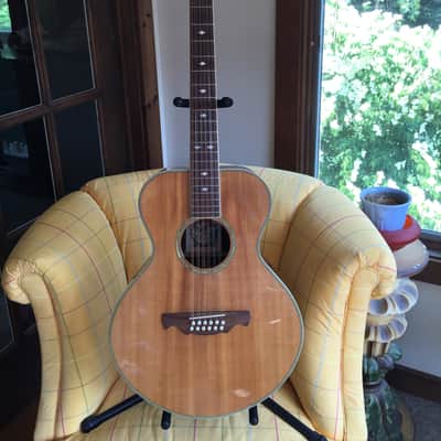 Alvarez 2551 12 String Limited Edition Silver Anniversary Model Gibson L-1 L-00 l-2 look-alike 5037 image 5