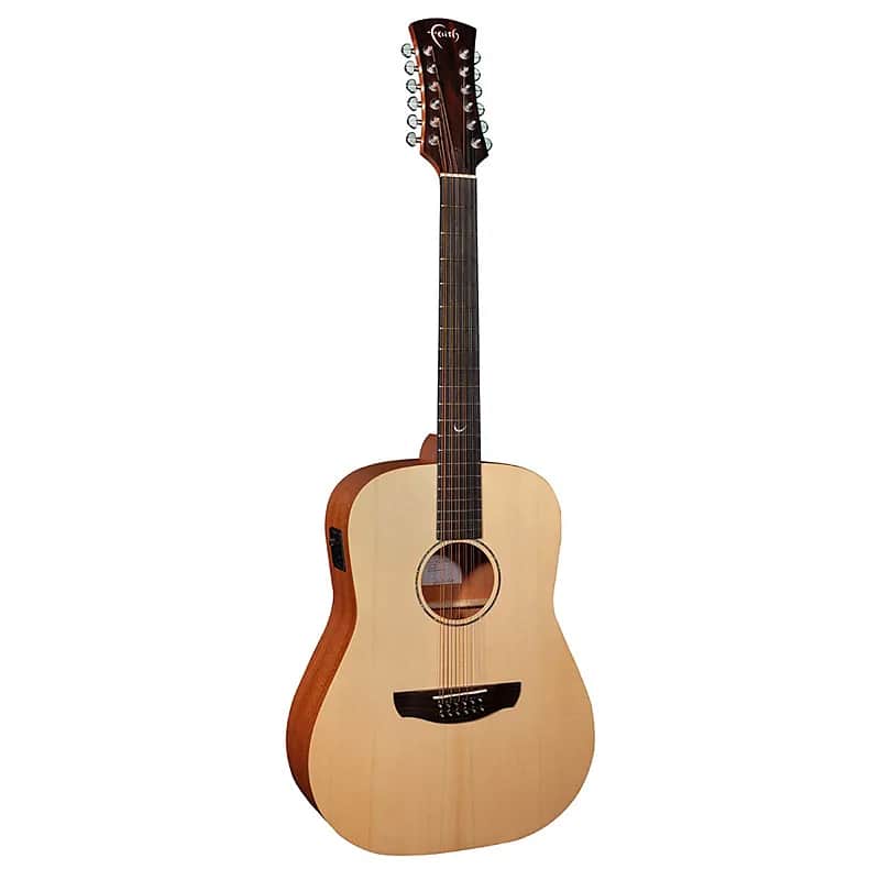 Faith FKSE12 Naked Saturn 12-String image 1