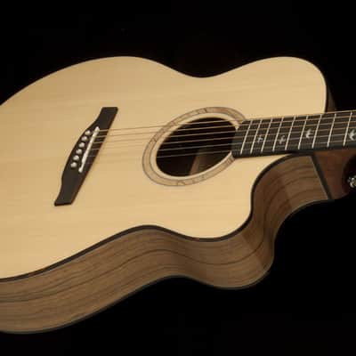 Paul Reed Smith PRS SE A15AL Alex Lifeson Natural NEW Thinline Acoustic Guitar + Hardshell Case A15 image 3