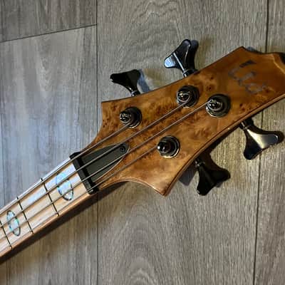 LTD ESP RB-1004 SM - Spalted Burled Maple - Aguilar image 2