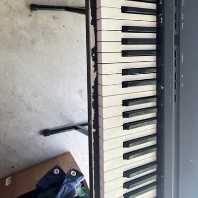 Roland  FP-8 Digital Stage Piano w/ anvil flight case image 5