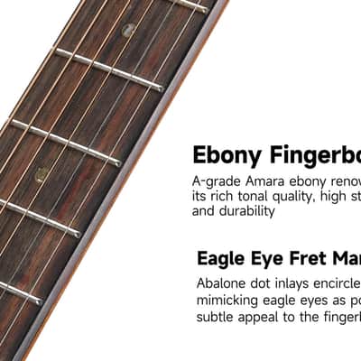 Bromo BAR 1 H All-Solid Dreadnought Acoustic image 16