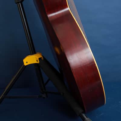 Gibson U-Style Harp Guitar / 1908 / The Shape of Things to Come? image 12