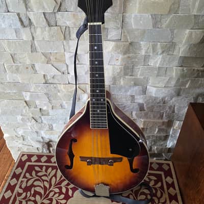 Alvarez mandolin A100 with hard case image 1