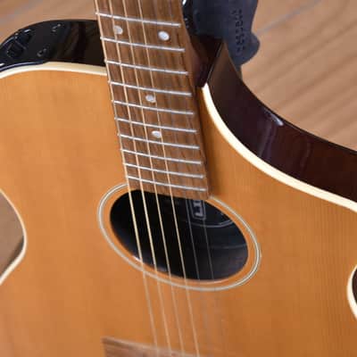 Line 6 Variax Acoustic 300 Series image 11