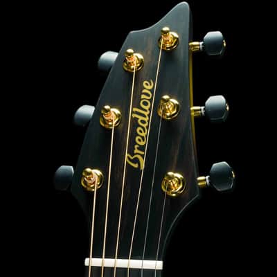 Breedlove Oregon Concert Earthsong Limited Edition Acoustic Guitar image 6