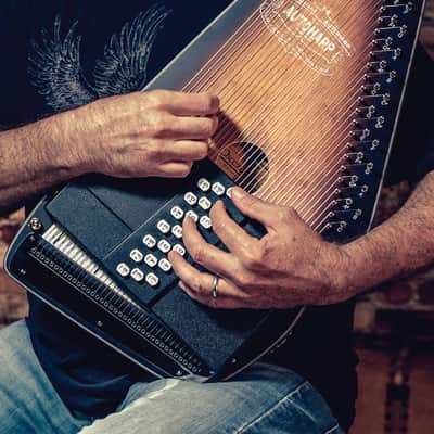 Oscar Schmidt OS11021AE "The Americana" 21 Chord Electric Autoharp w/Passive Electronic Pickup image 7