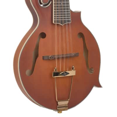 Gold Tone F-10 10-String F-Style Mandolin with Pickup and Case image 1