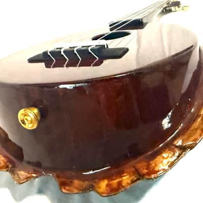 Turtle Shell Tenor Ukulele image 7