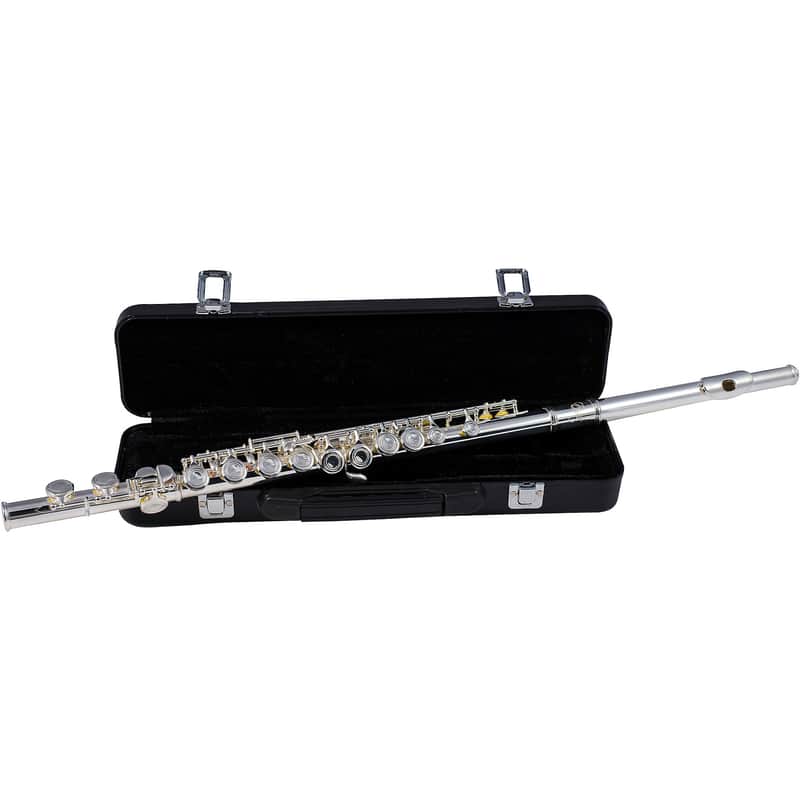Etude EFL-200 Student Series Flute with Offset G, C-Foot image 1