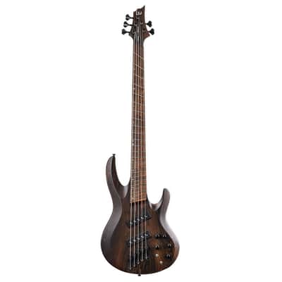 ESP LTD B-1005 Multi-Scale
