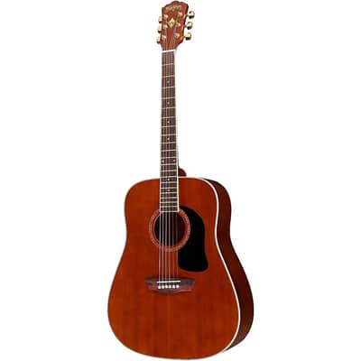 Washburn WD100DLMK Apprentice Dreadnought Mahogany Top & Neck 6-String Acoustic Guitar w/Gig Bag image 1