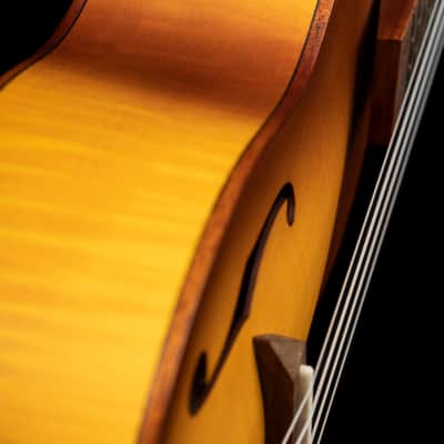 Ortega Custom Built Series Flamed Maple Arched Top Okoume Neck 4-String Concert Electric Ukulele w/Gig Bag image 7