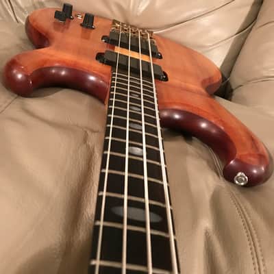 Alembic Spoiler 1983 Koa image 13