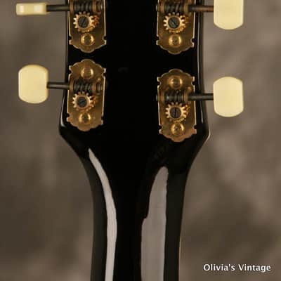 RARE 1960's GOYA/Hagstrom model JB-80 factory ACOUSTIC modular insert BLACK #004 image 18