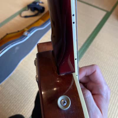 Greco custom EG-480 1976 image 16