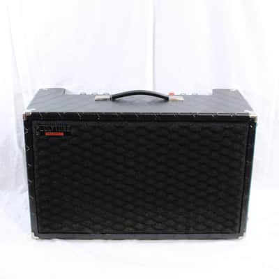 Vintage Early 1980's Polytone Mini-Brute V 2x10 Combo Amp w/ Cover Included! image 1