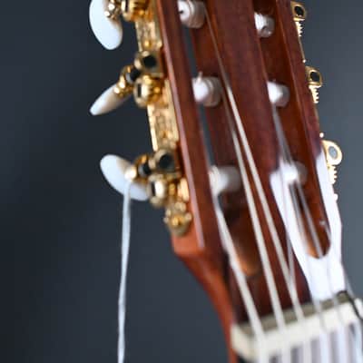 Ibanez GA6CE-AM Amber High Gloss Classical Guitar #718 image 9