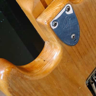 Fender Stratocaster, Maple Fretboard 1979- Natural image 12