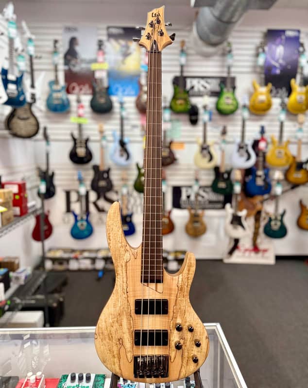 ESP LTD B-204SM Fretless Bass Guitar - Natural Satin image 1