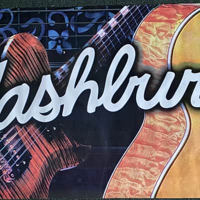 Washburn Dealer Banner for Washburn Guitars image 1