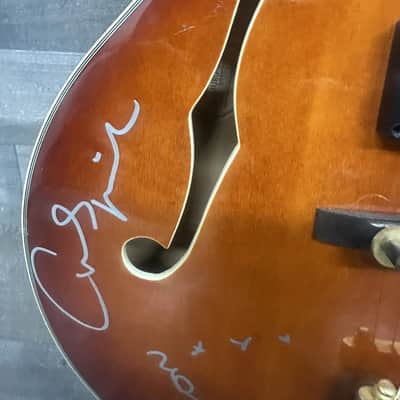 Samick Archtop progressive Rock Titans signature 1990 image 5