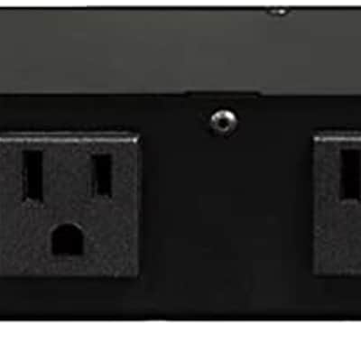 Radial Power-1 19" Rack Mount Power Conditioner & Surge Supressor image 2