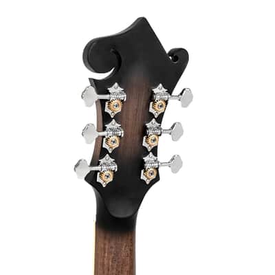 Gold Tone F-6: F-style Mando-Guitar with Pickup and Case image 7