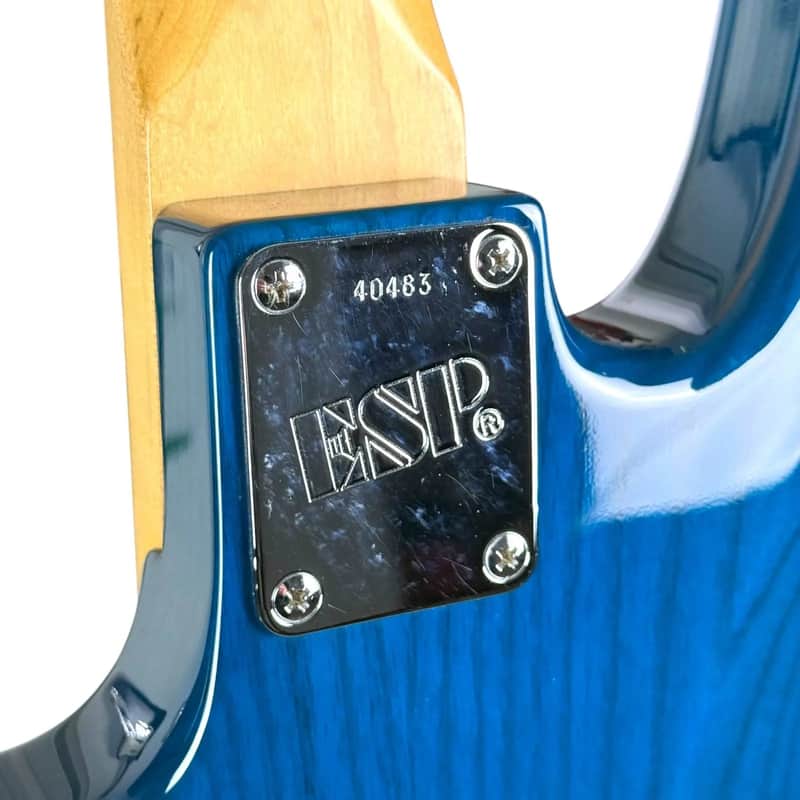 ESP AP-230SL M BASS 2002 - See Thru Blue | Reverb