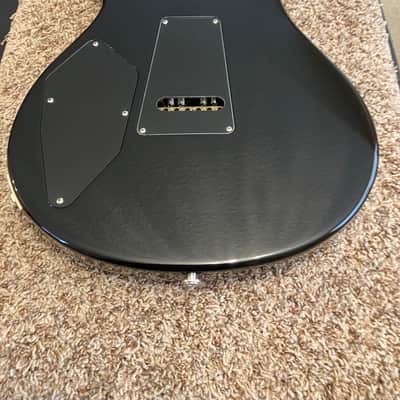 PRS 509 image 5