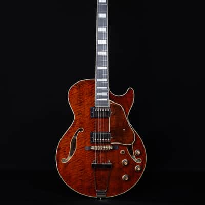 Ibanez AG95MGDA, AG Expressionist, Mango top/back/sides, Gold Hardware image 5