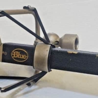 Blue Dragonfly Cardioid Condenser Microphone with Rotating Head