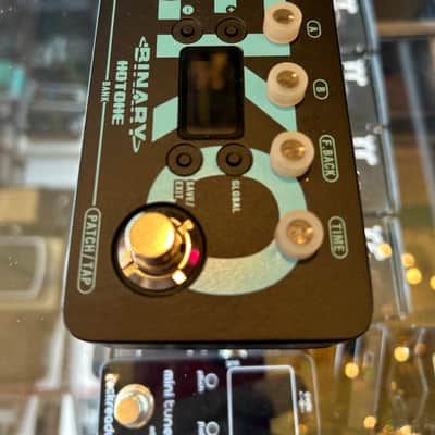 Hotone Binary Eko Delay 2022- Black/Blue image 7