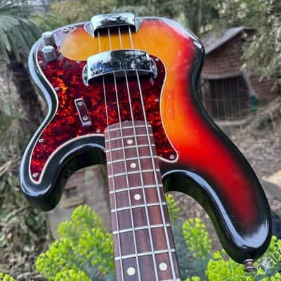 1972 Fender Precision Bass - Sunburst - Special Rosewood Neck - OHSC image 8