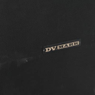 DV Mark Slanted Cabinet 4x12 Owned by Greg Howe image 5