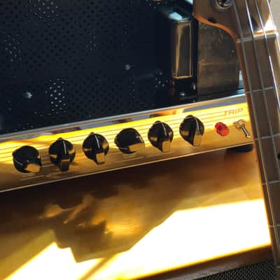 Trinity TripTop (Ampeg B-15 Clone) image 5