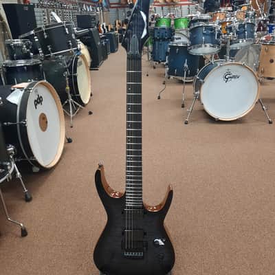 Dean Exile Select Floyd Neck Thru Archtop - GN Black Burst image 16