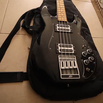 Peavey T-40 with Maple Fretboard image 4