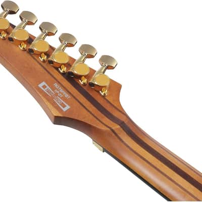 Ibanez Premium RGT1220PB Electric Guitar - Antique Brown Stained image 9