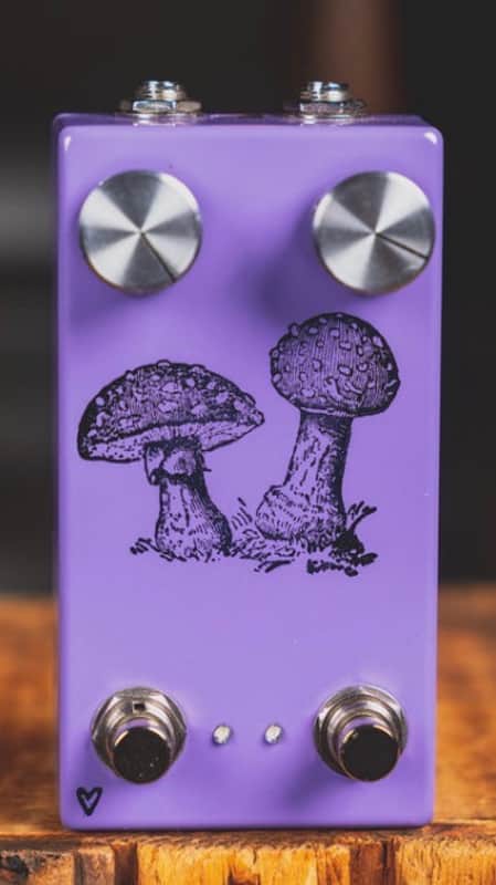 Farm Fly Agaric 2024 image 1