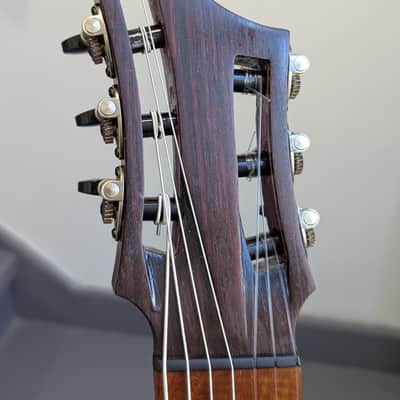 Paul McEvoy Guitars 'Dali' 7 String Multiscale Nylon String Classical Guitar 2024 - Sitka/Pau Rosa image 2