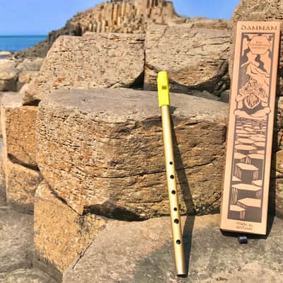 The Dannan Giant's Causeway Brass Whistle in D - Gráinne Green image 5