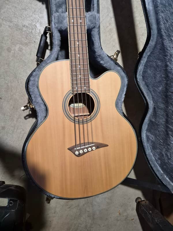 Dean Playmate 2000s - Natural image 1