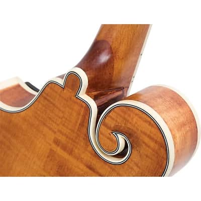 Epiphone MM-50E Professional Mandolin - Natural image 16