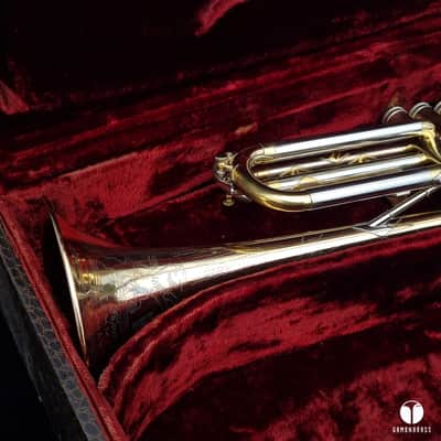 Holy grail ! The Martin Committee Handcraft Goldbrass transitional trumpet case mouthpiece gamonbrass image 3